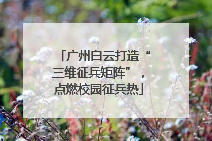 广州白云打造“三维征兵矩阵”，点燃校园征兵热