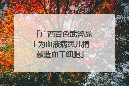 广西百色武警战士为血液病患儿捐献造血干细胞