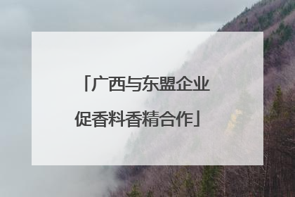 广西与东盟企业促香料香精合作