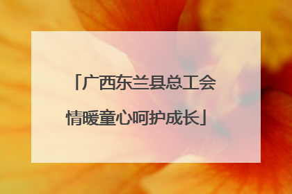 广西东兰县总工会情暖童心呵护成长