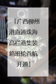 广西柳州港直通珠海高栏港集装箱班轮首航开通