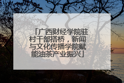 广西财经学院驻村干部搭桥，新闻与文化传播学院赋能油茶产业振兴