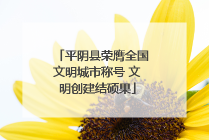 平阴县荣膺全国文明城市称号 文明创建结硕果