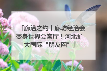 廊洽之约丨廊坊经洽会变身世界会客厅！河北扩大国际“朋友圈”