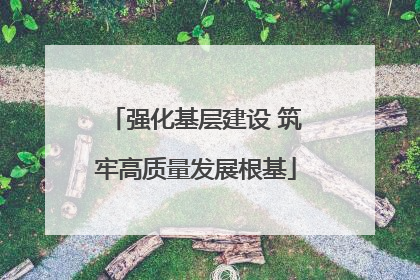 强化基层建设 筑牢高质量发展根基