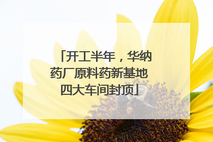 开工半年，华纳药厂原料药新基地四大车间封顶