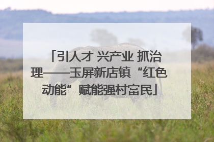 引人才 兴产业 抓治理——玉屏新店镇“红色动能”赋能强村富民