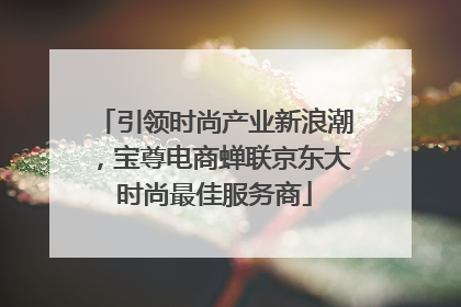 引领时尚产业新浪潮，宝尊电商蝉联京东大时尚最佳服务商