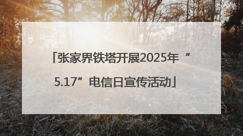 张家界铁塔开展2025年“5.17”电信日宣传活动