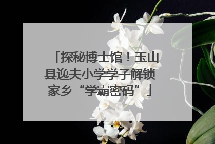 探秘博士馆！玉山县逸夫小学学子解锁家乡“学霸密码”