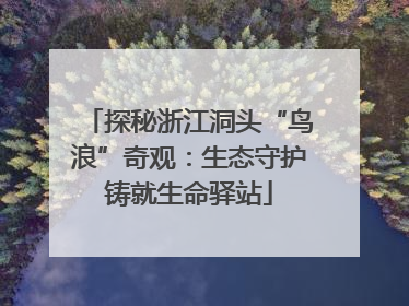 探秘浙江洞头“鸟浪”奇观：生态守护铸就生命驿站