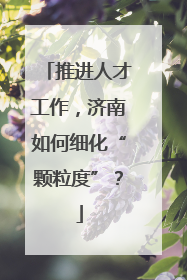 推进人才工作，济南如何细化“颗粒度”？