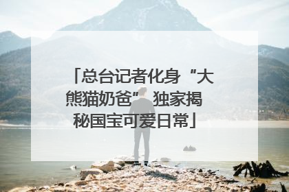 总台记者化身“大熊猫奶爸” 独家揭秘国宝可爱日常
