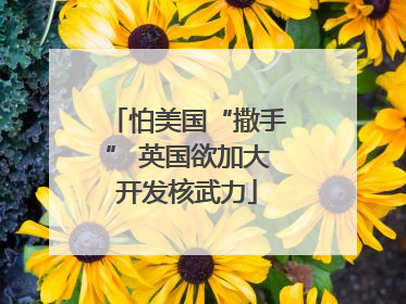 怕美国“撒手” 英国欲加大开发核武力