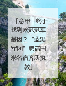 意甲｜终于找到欧冠冠军基因？“蓝黑军团”聘请国米名宿齐沃执教
