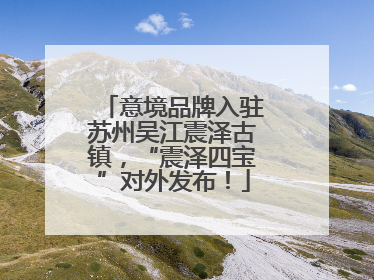 意境品牌入驻苏州吴江震泽古镇，“震泽四宝”对外发布！