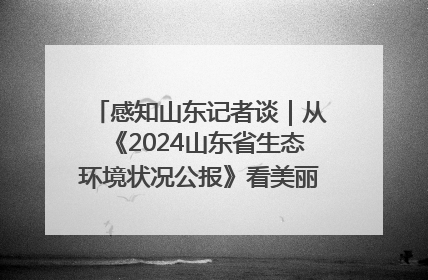 感知山东记者谈｜从《2024山东省生态环境状况公报》看美丽山东建设的“成绩单”与“任务书”