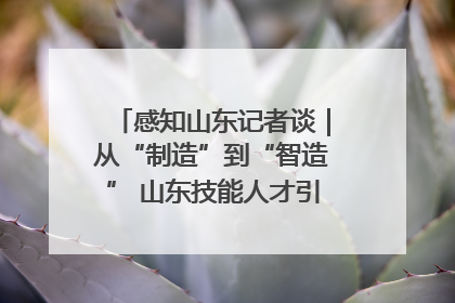 感知山东记者谈｜从“制造”到“智造” 山东技能人才引领产业升级