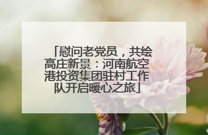 慰问老党员，共绘高庄新景：河南航空港投资集团驻村工作队开启暖心之旅
