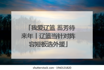 我爱辽篮 蓄芳待来年丨辽篮当针对阵容短板选外援