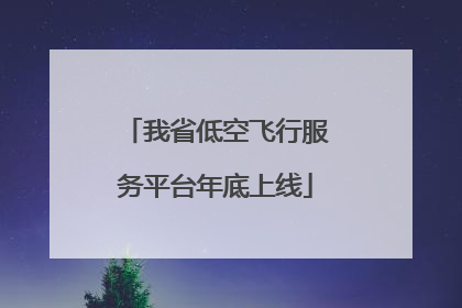 我省低空飞行服务平台年底上线