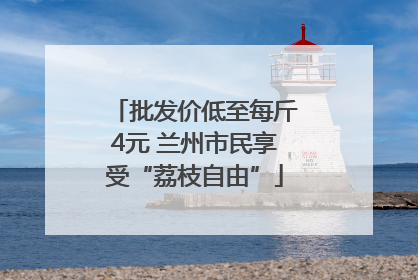 批发价低至每斤4元 兰州市民享受“荔枝自由”