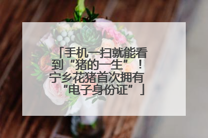 手机一扫就能看到“猪的一生”！宁乡花猪首次拥有“电子身份证”