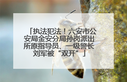 执法犯法！六安市公安局金安分局孙岗派出所原指导员、一级警长刘军被“双开”