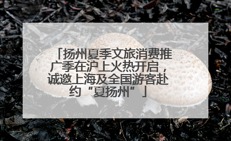 扬州夏季文旅消费推广季在沪上火热开启，诚邀上海及全国游客赴约“夏扬州”