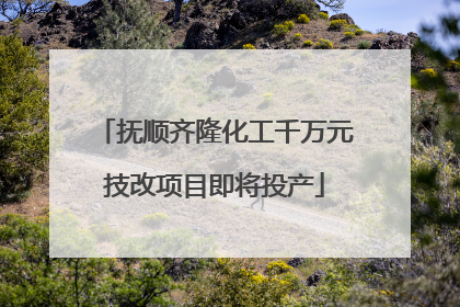 抚顺齐隆化工千万元技改项目即将投产