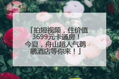 拍短视频，住价值3699元卡通房！今夏，舟山超人气鹈鹕酒店等你来！