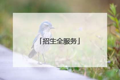 招生全服务