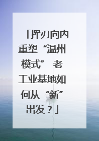 挥刃向内重塑“温州模式” 老工业基地如何从“新”出发？