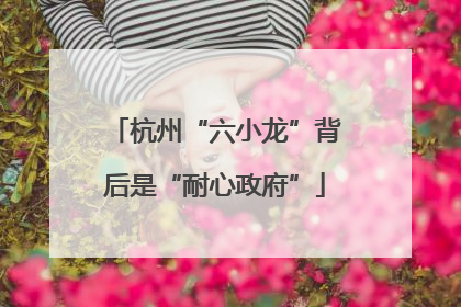 杭州“六小龙”背后是“耐心政府”
