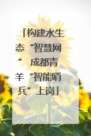 构建水生态“智慧网” 成都青羊“智能哨兵”上岗