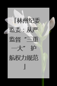 林州纪委监委：从严监督“三重一大” 护航权力规范