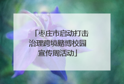 枣庄市启动打击治理跨境赌博校园宣传周活动