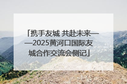 携手友城 共赴未来——2025黄河口国际友城合作交流会侧记