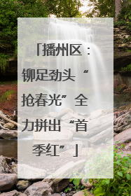 播州区：铆足劲头“抢春光”全力拼出“首季红”