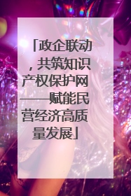 政企联动，共筑知识产权保护网——赋能民营经济高质量发展
