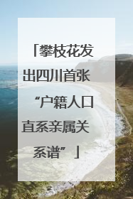 攀枝花发出四川首张“户籍人口直系亲属关系谱”