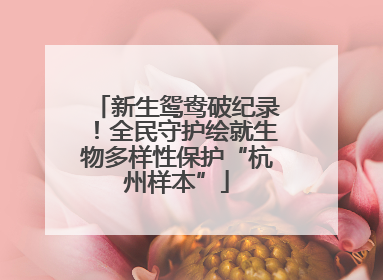 新生鸳鸯破纪录！全民守护绘就生物多样性保护“杭州样本”