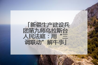 新疆生产建设兵团第九师乌拉斯台人民法庭：用“三调联动”解牛事