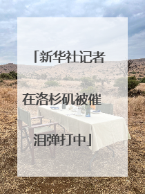新华社记者在洛杉矶被催泪弹打中