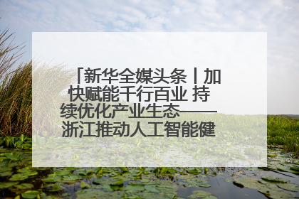 新华全媒头条丨加快赋能千行百业 持续优化产业生态——浙江推动人工智能健康有序发展观察