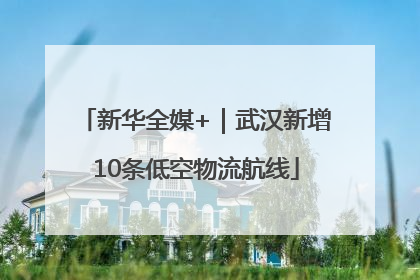 新华全媒+｜武汉新增10条低空物流航线