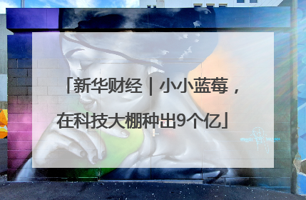 新华财经｜小小蓝莓，在科技大棚种出9个亿