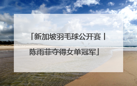 新加坡羽毛球公开赛丨陈雨菲夺得女单冠军