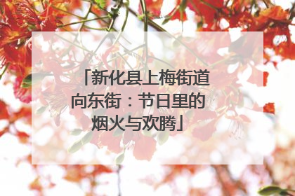 新化县上梅街道向东街：节日里的烟火与欢腾