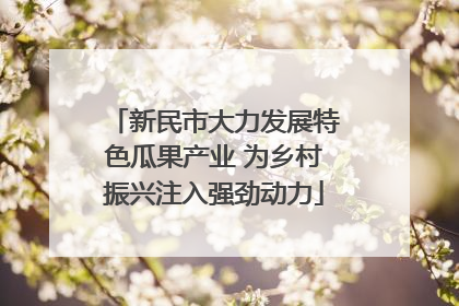 新民市大力发展特色瓜果产业 为乡村振兴注入强劲动力